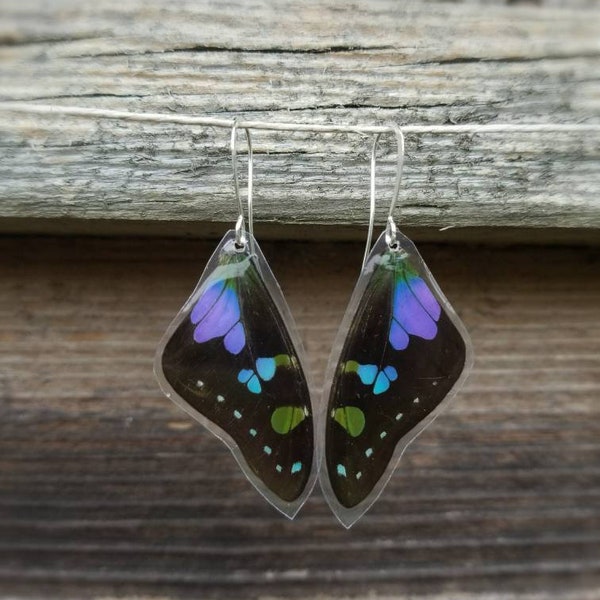 Purple Butterfly Earrings, Graphium Weiskei, Real Small Butterfly Wing Earrings, Resin Wings, Insect Jewelry, Cruelty Free, Boho BW057