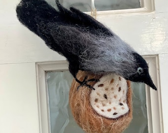 hand felted Jackdaw on a coconut feeder, jackdaw loves his feeder, birds visit my garden, collectible hanging jackdaw on a coconut