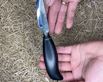 Hand Carving Knife, Black Hornbeam Handle, 9ХС Steel, Hand Forged Tool