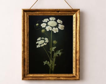 Queen Anne's Lace Print, Dark Floral Still Life, Cottagecore Decor (Digital Download)