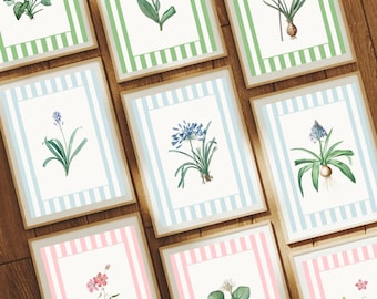 Botanical Art Prints: Striped Mat, Grandmillennial Decor (INSTANT DOWNLOAD)