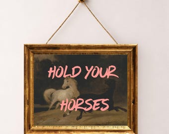May include: A framed print featuring a classical painting of two horses, one white and one black, with the pink text "HOLD YOUR HORSES" overlaid. The frame is gold-colored and hangs from a gold-colored hook.