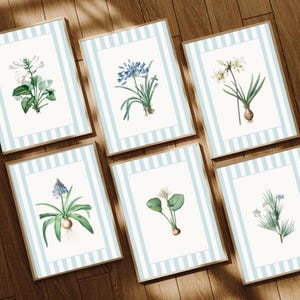 6 Light Blue Striped Floral Art Prints, Grandmillenial Nancy Meyers Inspired Botanical Print with Striped Mat Blue Stripe, INSTANT DOWNLOAD
