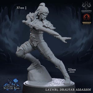 Dunkelelfe Assassine Fantasy Miniatur - 28 mm/32 mm Resin Figur für D&D, Tabletop RPGs Dungeons and Dragons Schurke Spieler Charakter