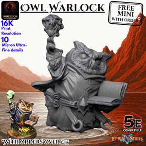 Kenku Aarakokra Warlock Miniature Owl - Fantasy Tabletop RPG Dungeons and Dragons Player Character D&D  - 28mm Scale 32mm Sorcerer Wizard