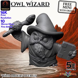 Kenku Aarakokra Wizard Miniature Owl - Fantasy Tabletop RPG Dungeons and Dragons Player Character D&D Arcane Teacher - 28mm Scale 32mm