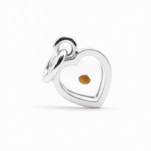 Silver or gold mustard seed charm, round heart shaped real mustard seed pendant, Inspirational faith Christian charm, for bracelet, necklace