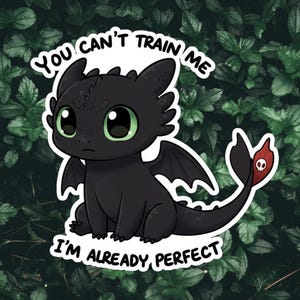 Sticker schattige zwarte draken – nachtdraak, 'You Can't Train Me' – waterdichte vinylsticker – Duurzaam en weerbestendig, uniek cadeau