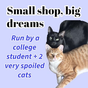 May include: Image with text that reads "Small shop, big dreams. Run by a college student + 2 very spoiled cats." Two cats, one black and one orange tabby, are in the image.