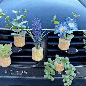 May include: Seven small potted plants with cork bases, including a sunflower, succulents, lavender, and eucalyptus, are displayed in a car's air vent.