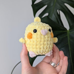 Pocket Cockatiel Bird– Squishy Plush Toys