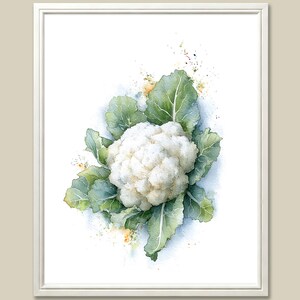 Cauliflower Watercolor Art Print Vegetable Food Painting Minimalist Wall Art Botanical Kitchen Poster White Green Wall Decor