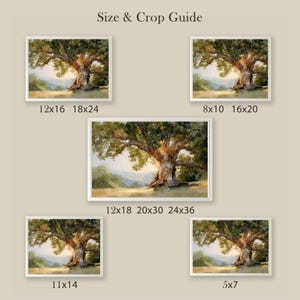 May include: A collection of framed art prints featuring a large, mature oak tree with a wide canopy. The artwork is displayed in various sizes, with the largest print measuring 24x36 inches. The text "Size & Crop Guide" is at the top.