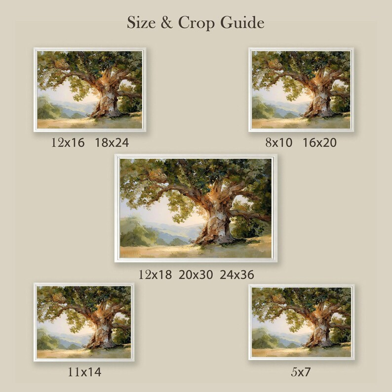 May include: A collection of framed art prints featuring a large, mature oak tree with a wide canopy. The artwork is displayed in various sizes, with the largest print measuring 24x36 inches. The text "Size & Crop Guide" is at the top.