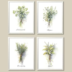 Herbs Art Print Set of 4 Botanical Watercolor Painting Coriander Mint Thyme Rosemary Minimalist Wall Art Gallery Wall Set Kitchen Posters