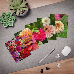 Splendidi biglietti di auguri Zinnia - Confezione da 5 per ogni occasione