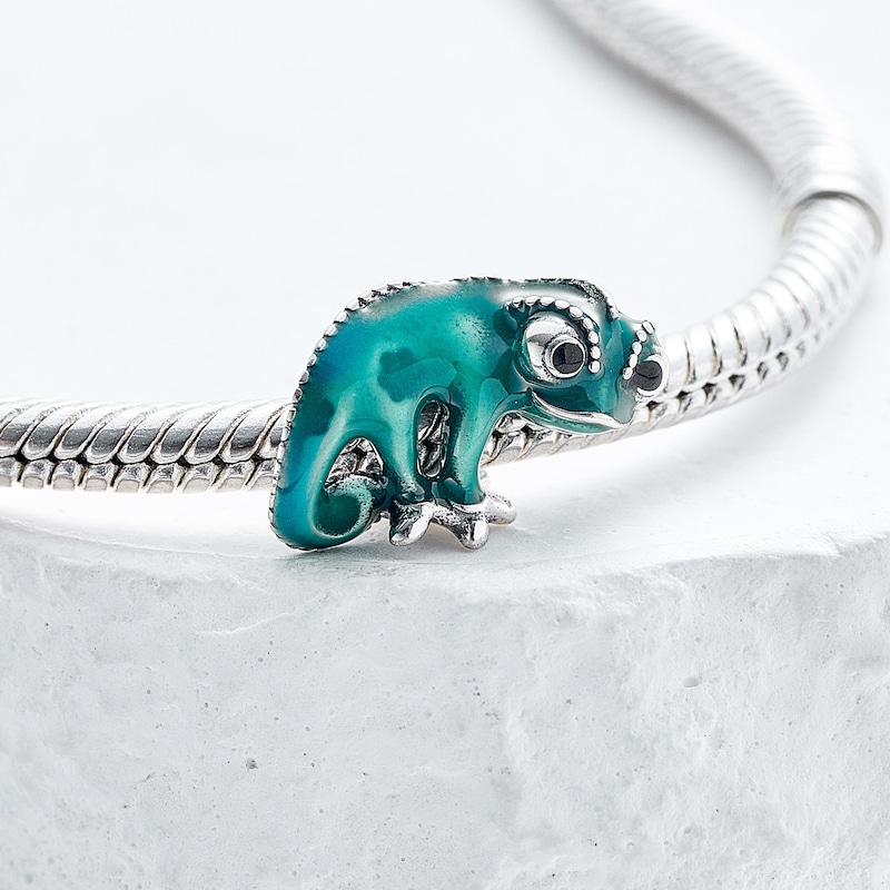 Pascal Pandora Charm - Etsy