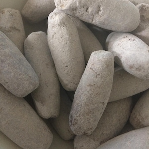 May include: A close-up of a collection of light grey, oblong-shaped stones. The stones have a rough, textured surface and vary slightly in size. They are piled together, filling the frame.