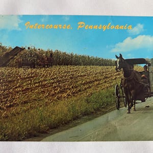 Könnte beinhalten: Vintage Postkarte mit einer Pferdekutsche auf einer Straße in Intercourse, Pennsylvania. Das Bild zeigt ein Feld mit Feldfrüchten unter einem blauen Himmel mit Wolken. Der Text "Intercourse, Pennsylvania" ist gelb.