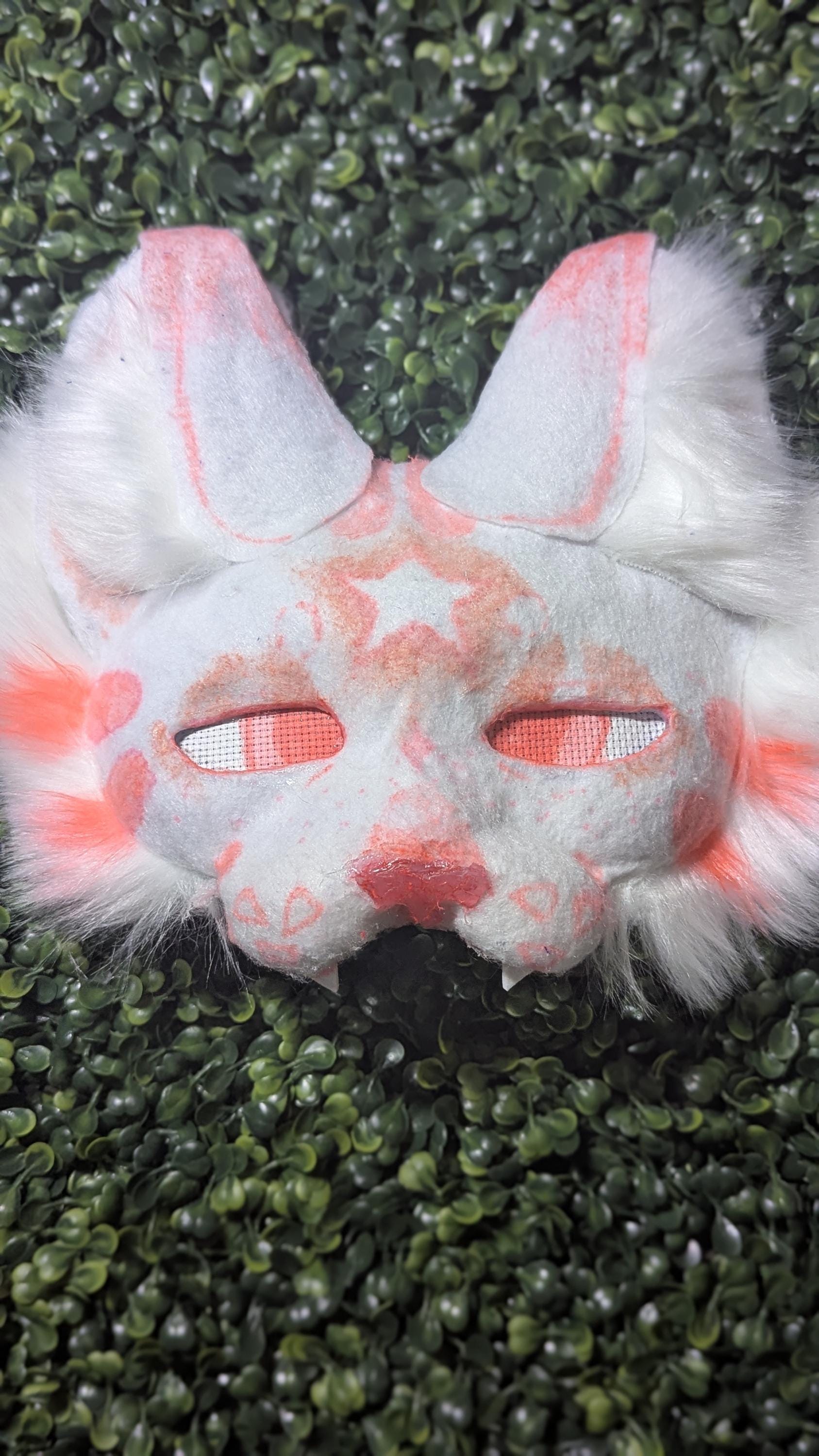 Gato de mirada rosa