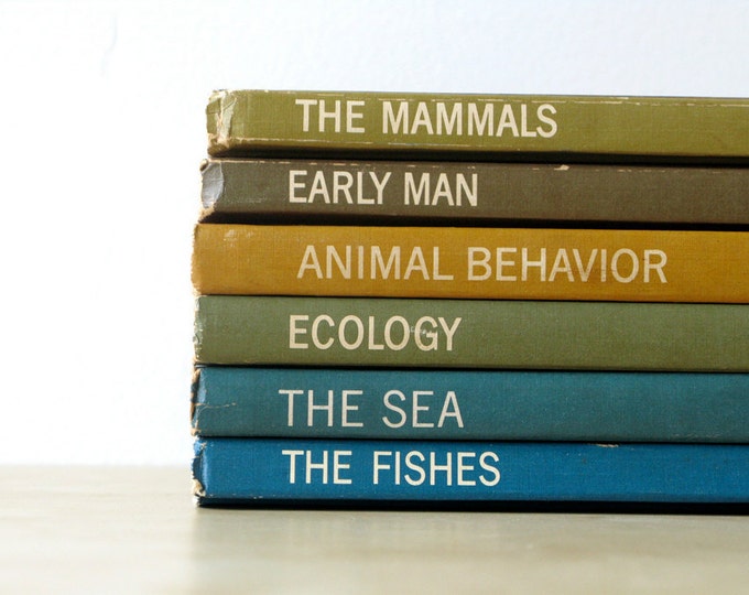 Vintage Time Life Nature Library Hardcover Book the Fishes Etsy