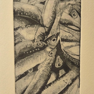 Könnte beinhalten: Eine Schwarzweißätzung einer Fischgruppe, mit sichtbaren Augen und Schuppen. Der Titel des Kunstwerks lautet "1/40 'Muikkukja' Hanna-Riikka Teppo 2019".