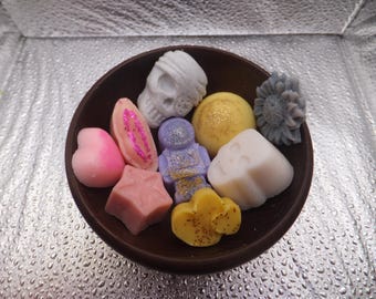 Perfume Scented Wax Melts