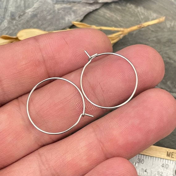 Surgical Steel Earring Hooks Circle Earring Wire Steel Earring Horizontal  Loops Earring Findings for Jewelry Making-5444 