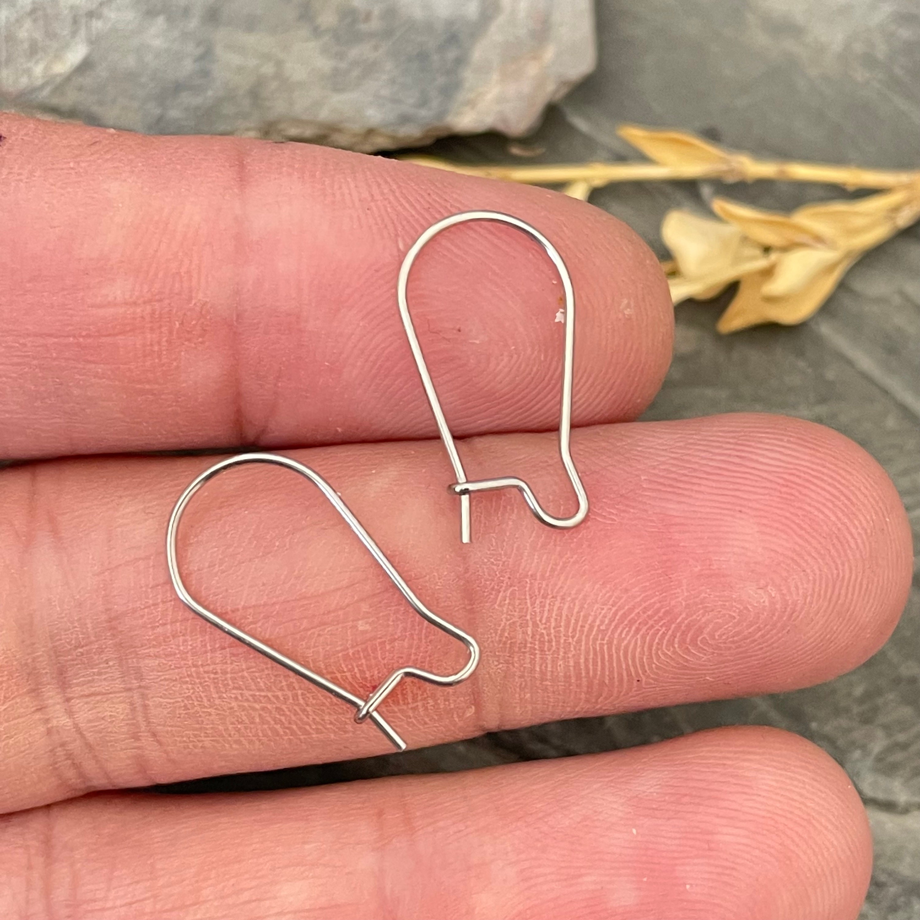 Surgical Steel Earring Hooks Circle Earring Wire Steel Earring Horizontal  Loops Earring Findings for Jewelry Making-5444 