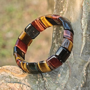 May include: A multi-colored bracelet composed of rectangular, polished stones. The stones display a range of colors, including black, red, yellow, and brown. The bracelet is displayed on a tree branch, showcasing its natural tones.