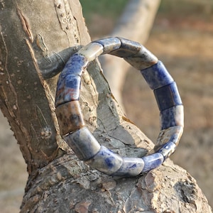 May include: A beaded bracelet with rectangular, polished stones in shades of blue, brown, and gray. The bracelet is resting on a tree branch, showcasing its natural color variations and textures. The bracelet is a piece of jewelry.