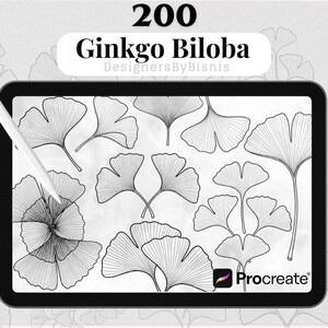May include: A digital illustration displayed on a tablet, featuring 200 Ginkgo Biloba leaf designs in black and white. The tablet is held by a white stylus. The Procreate logo is visible.