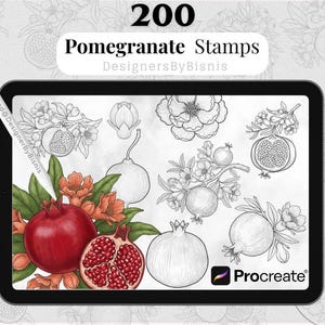 May include: A digital illustration on a tablet featuring 200 pomegranate stamps. The image includes a vibrant red pomegranate, a cut pomegranate, and various line drawings of pomegranates and flowers. The Procreate logo is visible.