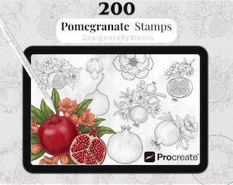 Pomegranate Stamps for Procreate – 200 Fruit Botanical Line Art Brushes (Digital Download)