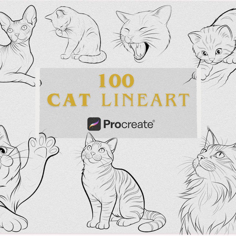 13+ Easy Cute Realistic Drawing Ideas for Beginners