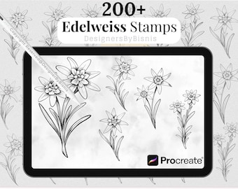 Sellos Procreate de flor de Edelweiss: Set de pinceles de arte lineal alpino (descarga digital)