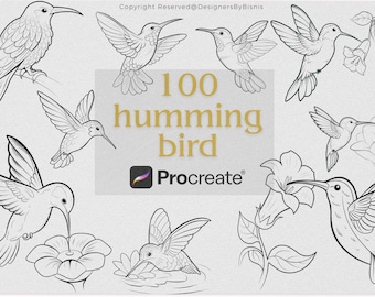 Hummingbird Procreate Stamps: Hand-Drawn Bird Brush Set (Commercial Use, Digital Download