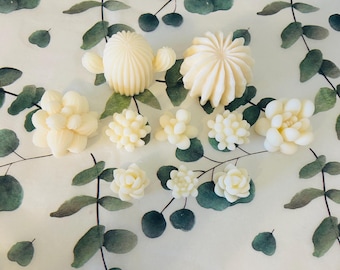 Botanical Wax Melt Packs