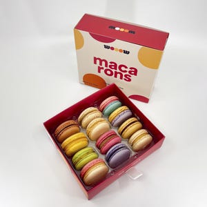 Assorted Macarons Gift Box – French Macarons Sampler – Gourmet Cookie Gift for Birthday, Wedding, Party Favors, Thank You, Corporate Gift