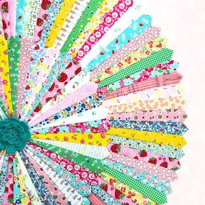 Mega Skinny Blade Dresden Quilt | PDF Pattern
