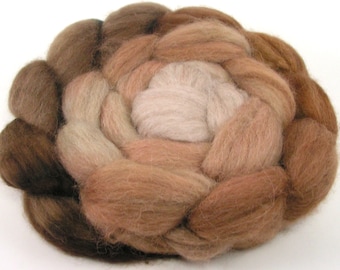 Spinning Fiber - Baby Alpaca Combed Top - Cappuccino - gradient dyed roving