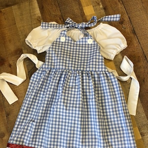 Dorothy Dress  from the Wizard of Oz.