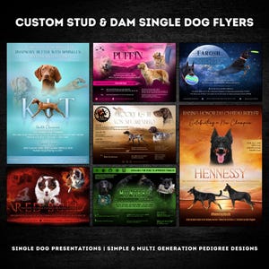Custom Stud & Dam Single Dog Presentation Flyer | Show Accomplishments | Sport Achievements | Breeders | Kennels
