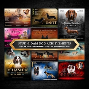 May include: A collection of custom dog flyers showcasing stud and dam achievements. The flyers feature various dog breeds, including Dachshunds, German Shepherds, and English Springer Spaniels, with names like "Smokey" and "Nash". The flyers have a dark background.