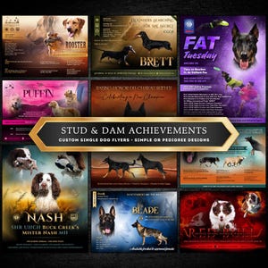 Custom Stud & Dam Single Dog Presentation Flyer | Show Accomplishments | Sport Achievements | Breeders | Kennels