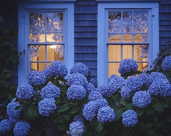 Hydrangea Seeds for Colorful Garden Blooms – Easy to Grow, Hardy Perennial, Perfect for Containers, Borders, and Landscaping Projects
