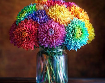 Colorful Rainbow Chrysanthemum Seeds – Rare Perennial Flower for Vibrant Gardens, Easy to Grow, Unique Multicolor Blooms