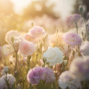 500 seeds Lisianthus Seeds Bulk Pack | Elegant Double Petals in Soft Pastel Shades | Cottage Garden Charm | Perfect Cut Flowers for Bouquets