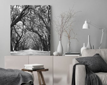 Black and White Nature Print, Louisiana Oak Tree Art, Large Living Room Landscape Photography, Affordable Wall Decor