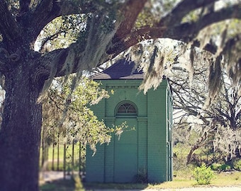 New Orleans City Park Fine Art Photography Print, Louisiana Home Decor